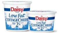 daisy cottage cheese