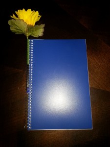 pretty notebook