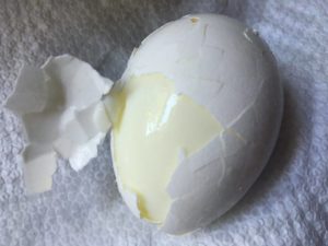 egg5