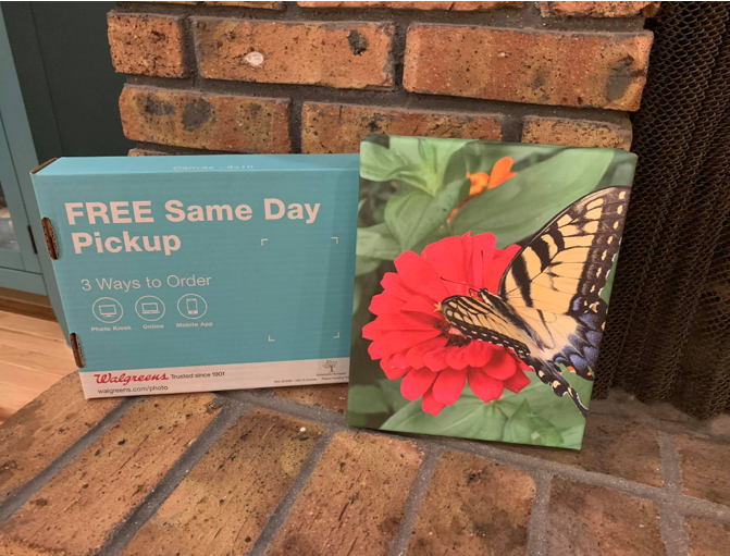 80 Off 16 X 20 Canvas Prints FREE Same Day Pick Up   Walgreens Canvas Print 