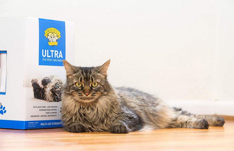 40 lbs of Dr. Elsey’s Ultra Premium Clumping Cat Litter