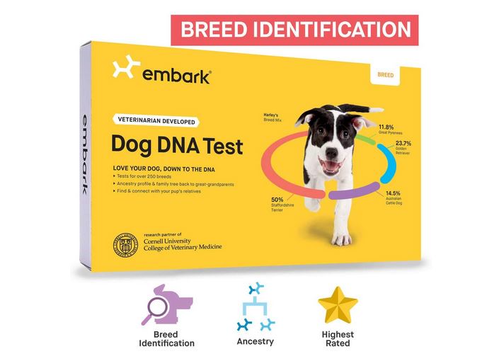 Embark Dog DNA Test Breed Identification Kit