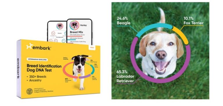 Deal of the Day Embark Dog DNA Test Breed Identification Kit
