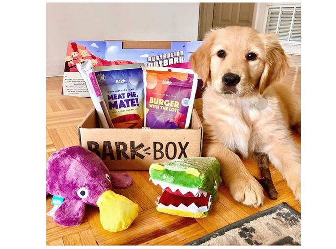 BarkBox Monthly Subscription Box