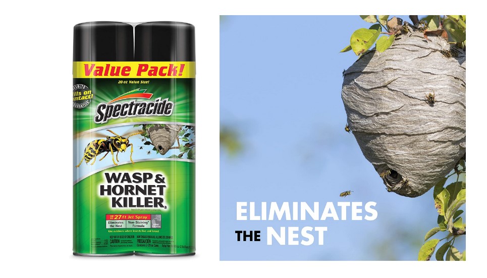 Spectracide Wasp And Hornet Killer