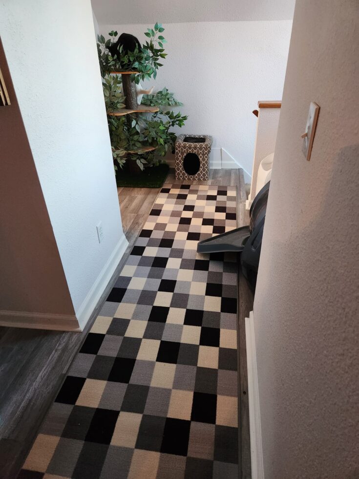 hall rug runner