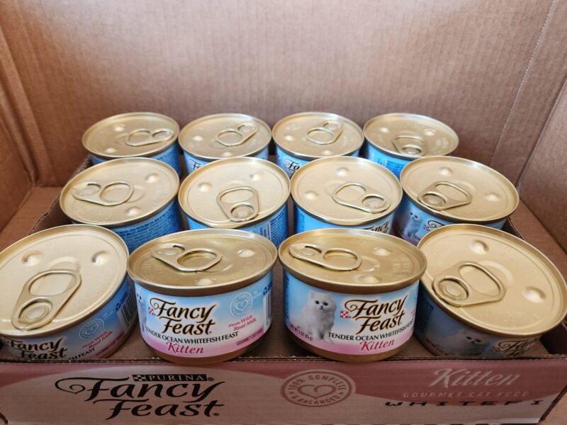 Fancy Feast Gourmet Kitten Tender Ocean Whitefish Feast Canned Cat Food 24-3oz Cans main image 1