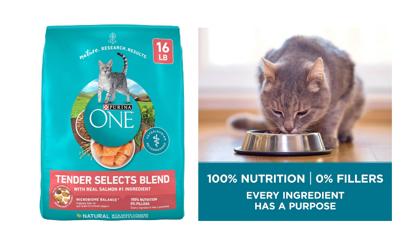 Purina ONE Natural Dry Cat Food, Tender Selects Blend With Real Salmon